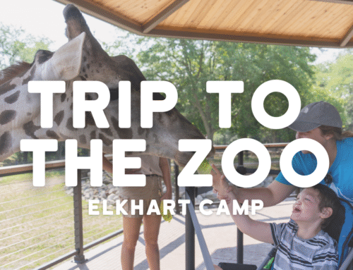 Elkhart Summer Camp Visits the Zoo